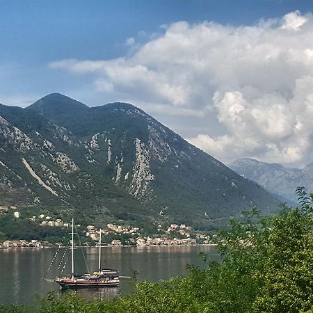 Room With Sea View Kotor Zewnętrze zdjęcie