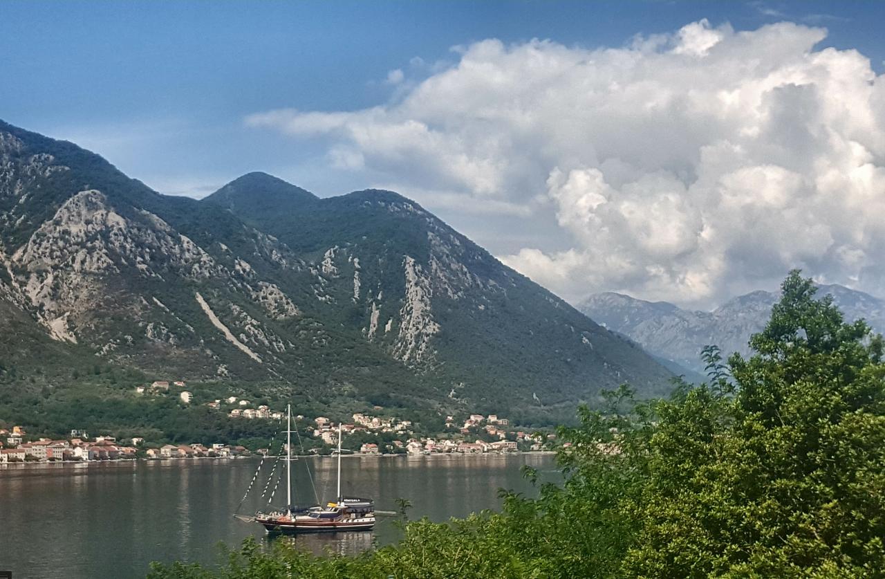 Room With Sea View Kotor Zewnętrze zdjęcie